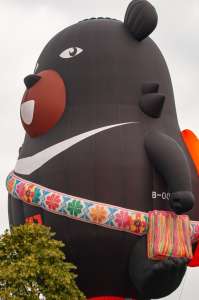 Bear hot air balloon B-00012 (animals). Photograph by Dave