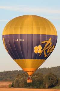 D-OELA hot air balloon. Photograph by G Bann