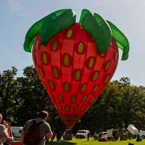 Strawberry hot air balloon D-ONIX