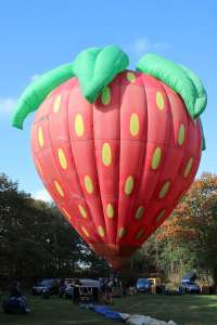 Strawberry hot air balloon D-ONIX. Photograph by G Bann