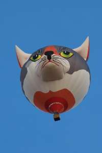 D-OYPS hot air balloon. Photograph by G Bann