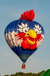 Bird hot air balloon F-GOCO (chicken, animals), seen at Leigh Woods, North Somerset, United Kingdom on 8 August 2014. Photograph by Dave
