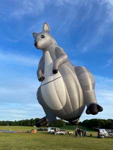 F-HSBJ hot air balloon. Photograph by Cera168_