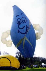 G-BGOO hot air balloon, a Colt 56 Flame. Photograph by Graham Duke