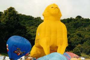 G-BLFE hot air balloon, a Cameron SPHINX-72. Photograph by G Duke