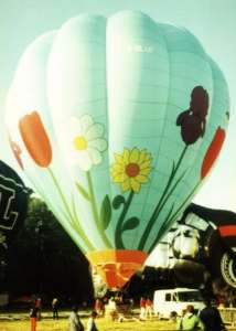 G-BLUF hot air balloon, a Thunder AX10-180. Photograph by Mel Kirby