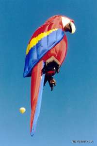 G-BRWZ hot air balloon, a Cameron MACAW-90. Photograph by Mike Clarke