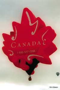 G-BWSM hot air balloon, a Cameron Maple LEAF-95. Photograph by A Gibson