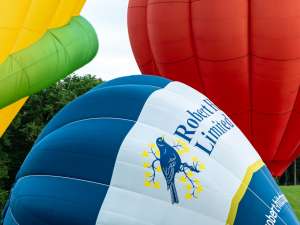 Robert Hitchins hot air balloon G-CFEB, a Cameron C-80. Photograph by Dave