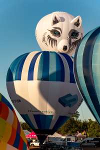G-CHXS hot air balloon, a Cameron C-90, seen at Leigh Woods, North Somerset, United Kingdom on 7 August 2026. Photograph by Dave