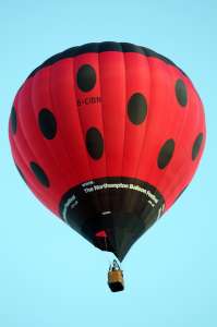 Ladybird hot air balloon G-CIBN, a Cameron Z-90 (animals), added to the archive 7 September 2026. Photograph by Balloon Spotters Archive
