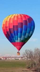 G-CIXD hot air balloon, a Cameron A-105. Photograph by Trev Read