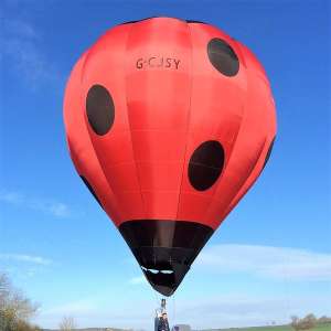 G-CJSY hot air balloon, a Newman BJ Sackville BM-34. Photograph by Barry Newman
