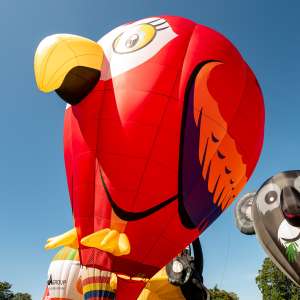 Parrot hot air balloon G-CLGP, an Ultramagic B-70 (animals)