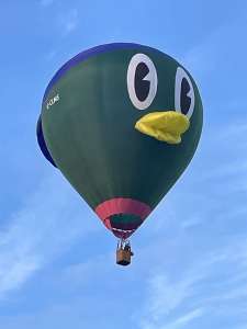 G-CLMS hot air balloon, a Wilkinson TJ Sackville BM-63 Duck. Photograph by Colin Wright