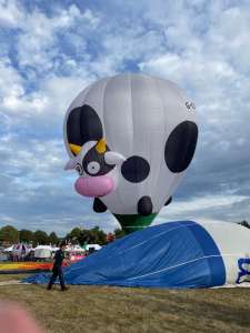 Cow hot air balloon G-CMOO, a Cameron Z-31 (animals), added to the archive 12 September 2026. Photograph by Cera168_