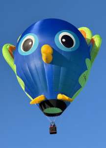G-CMRH hot air balloon, a Diamond PEACOCK-77 (ANIMAL-1). Photograph by Colin Wright