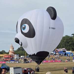 Panda hot air balloon G-CNBP, a Diamond S-77 (animals). Photograph by Dave