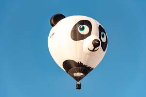 Panda hot air balloon G-CNBP, a Diamond S-77 (animals)