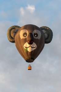 Koala hot air balloon G-DAAY, an Ultramagic B-70 (animals). Photograph by Dave