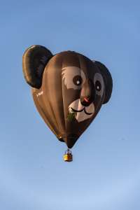Koala hot air balloon G-DAAY, an Ultramagic B-70 (animals)