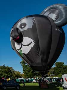 Koala hot air balloon G-DAAY, an Ultramagic B-70 (animals), seen at Horningsham, Wiltshire, United Kingdom on 14 September 2019. Photograph by Dave