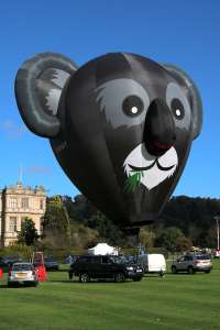 Koala hot air balloon G-DAAY, an Ultramagic B-70 (animals), added to the archive 7 September 2026. Photograph by G Bann
