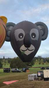 Koala hot air balloon G-DAAY, an Ultramagic B-70 (animals), seen at Horningsham, Wiltshire, United Kingdom on 11 September 2026. Photograph by Dave