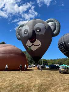 Koala hot air balloon G-DAAY, an Ultramagic B-70 (animals), added to the archive 12 September 2026. Photograph by Cera168_