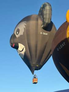 G-DAAY hot air balloon, an Ultramagic B-70, added to the archive 15 September 2026. Photograph by markneal