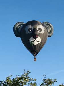 Koala hot air balloon G-DAAY, an Ultramagic B-70 (animals), seen at Horningsham, Wiltshire, United Kingdom on 15 September 2019. Photograph by Cera168_