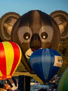 Koala hot air balloon G-DAAY, an Ultramagic B-70 (animals), seen at Horningsham, Wiltshire, United Kingdom on 11 September 2026. Photograph by Dave