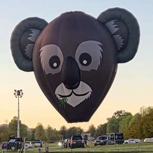 Koala hot air balloon G-DAAY, an Ultramagic B-70 (animals), seen at Horningsham, Wiltshire, United Kingdom on 12 September 2026. Photograph by Dave
