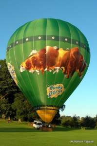 G-DORY hot air balloon, a Cameron Z-315. Photograph by Malcolm White