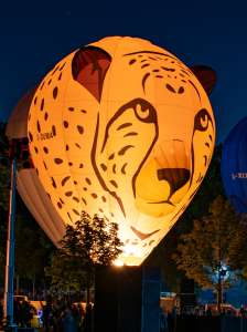 Cheetah hot air balloon G-DUMA, an Ultramagic B-70 (animals)