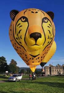 Cheetah hot air balloon G-DUMA, an Ultramagic B-70 (animals). Photograph by Bob Garnett