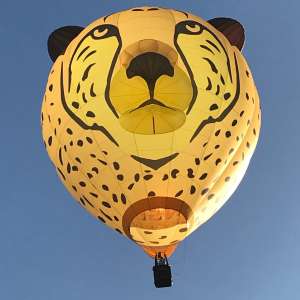 Cheetah hot air balloon G-DUMA, an Ultramagic B-70 (animals), seen at Horningsham, Wiltshire, United Kingdom on 15 September 2019. Photograph by Cera168_