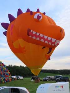 G-DYNO hot air balloon, a Cameron SPORT-90. Photograph by G Bann
