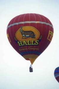 G-HARE hot air balloon, a Cameron N-77, added to the archive 7 September 2026. Photograph by Balloon Spotters Archive
