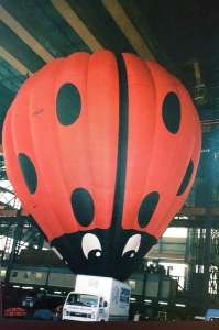 G-HIUP hot air balloon, a Cameron A-250. Photograph by David Griffiths