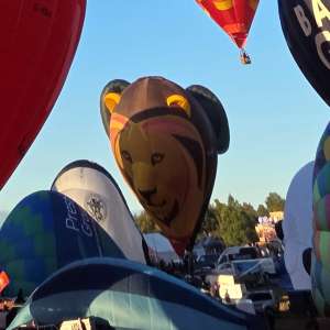 Lion hot air balloon G-LEAT, an Ultramagic B-70 (animals), seen at Leigh Woods, North Somerset, United Kingdom on 7 August 2026. Photograph by Dave
