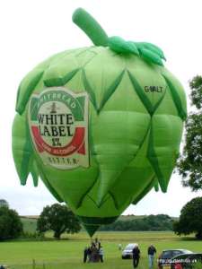 G-MALT hot air balloon, a Thunder AND Colt Colt Flying HOP. Photograph by Balloon Spotters Archive