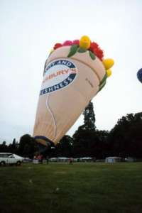 G-ODBN hot air balloon, a Lindstrand Balloons LBL Flowers. Photograph by Andrew Garrett