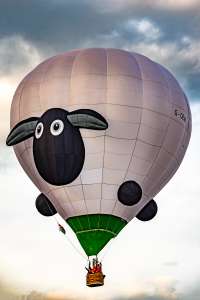 Sheep hot air balloon G-OEWE, a Cameron SPORT-80 (animals), seen at Telford, Telford and Wrekin, United Kingdom on 24 August 2025. Photograph by Dave