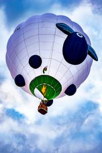 Sheep hot air balloon G-OEWE, a Cameron SPORT-80 (animals). Photograph by Dave