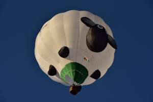 Sheep hot air balloon G-OEWE, a Cameron SPORT-80 (animals), seen at Leigh Woods, North Somerset, United Kingdom on 7 August 2026. Photograph by Dave