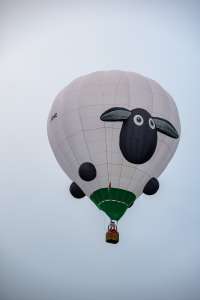 Sheep hot air balloon G-OEWE, a Cameron SPORT-80 (animals), seen at Arrow, Warwickshire, United Kingdom on 31 May 2025. Photograph by Dave