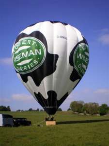 G-OMOO hot air balloon, added to the archive 27 August 2026. Photograph by M Stelling