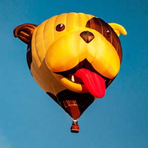Dog hot air balloon G-OPAW, a Cameron Z-105 (animals), seen at Leigh Woods, North Somerset, United Kingdom on 11 August 2018. Photograph by Dave