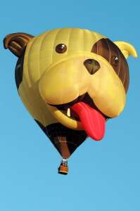 Dog hot air balloon G-OPAW, a Cameron Z-105 (animals), added to the archive 7 September 2026. Photograph by Fay Shepherd